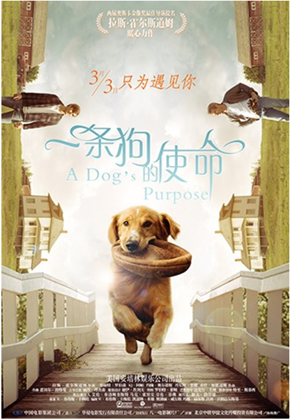 2017年3月，《一条狗的使命》在中国上映