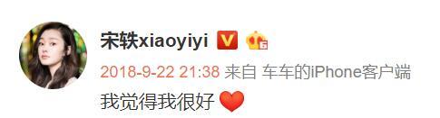 然后何炅啊严宽啊郭麒麟啊等人就去回复。