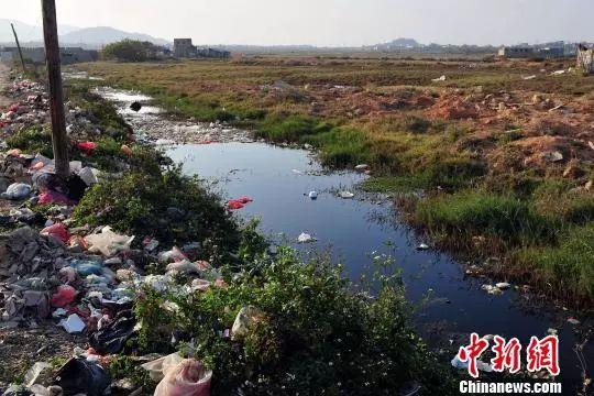 资料图：博社村前水沟发黑发臭。陈骥旻 摄