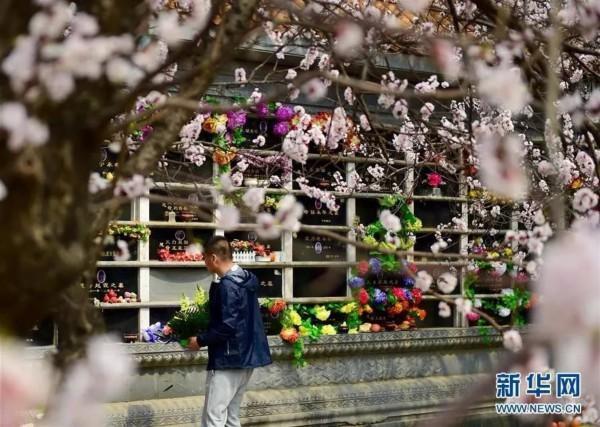 新华网 图青岛拟禁止销售、焚烧、抛撒丧葬祭奠物品。