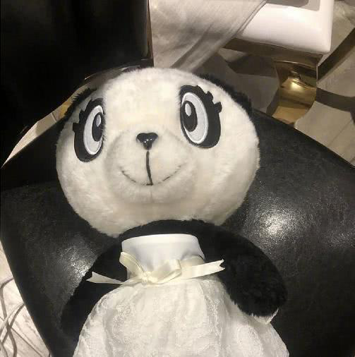 而这只熊猫实际上是几年前钟汉良上《快本》送给她的礼物。