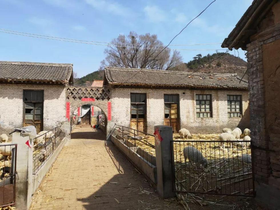 一所山区农村小学弃用后，被村民改造成了羊圈