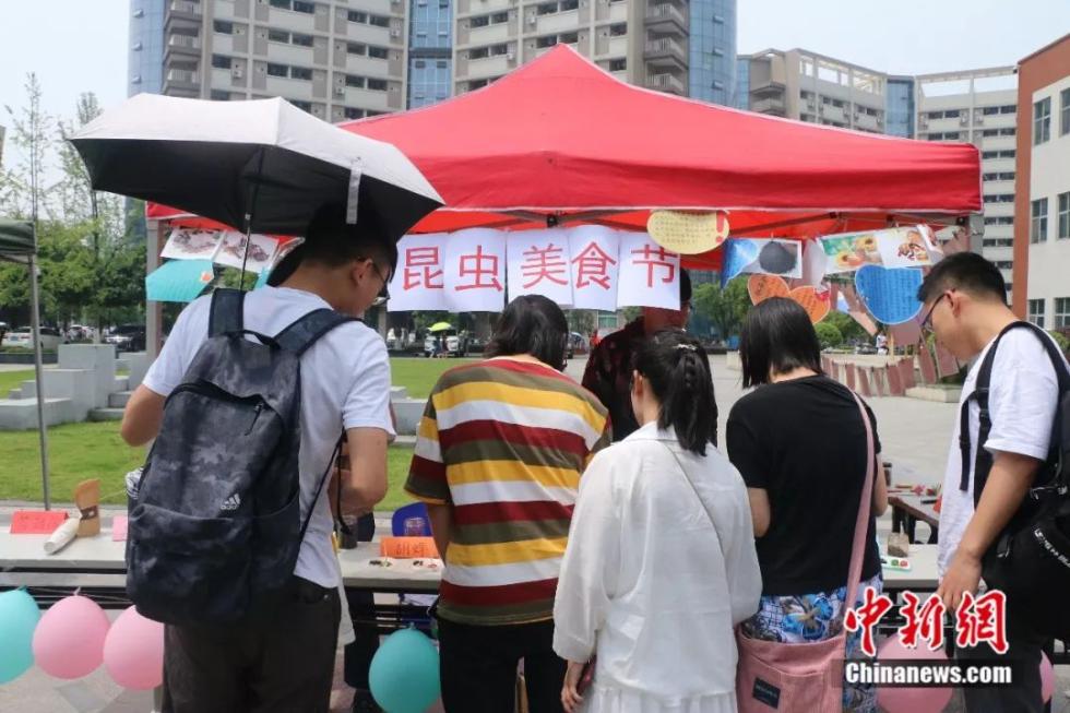 昆虫美食节现场。四川农业大学宣传部供图