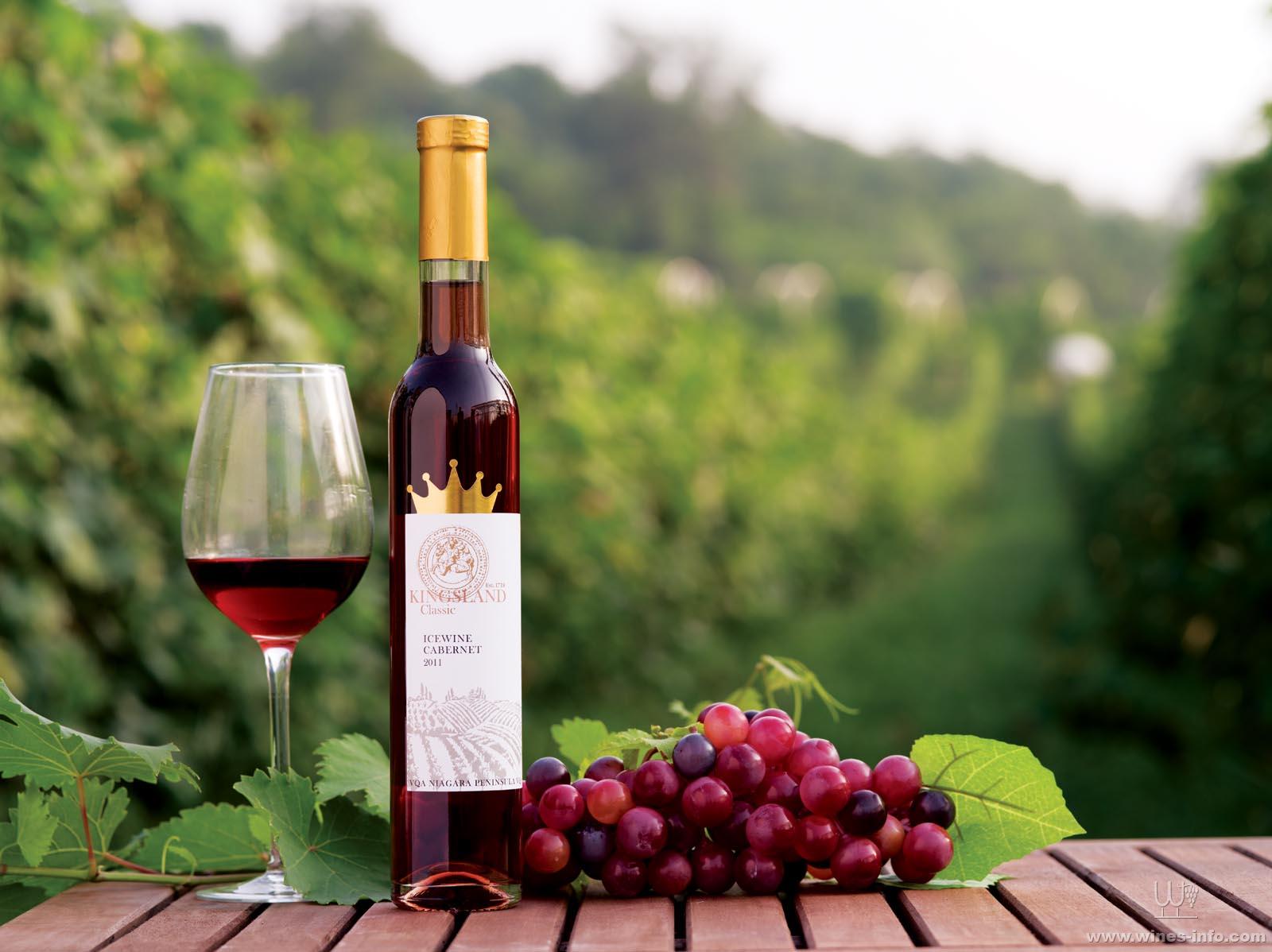 法国南部大地珍藏黑标卡本内西拉igp干红葡萄酒-Roqueterre Reserve Cabernet-Syrah