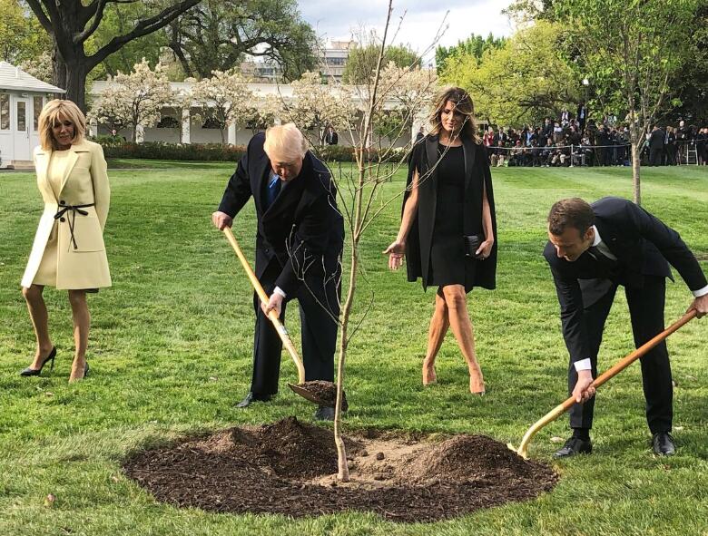 2018年4月，特朗普与马克龙在白宫南草坪合力种下这棵“友谊之树” 图源：路透社
