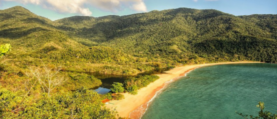 巴西东南大西洋沿岸雨林的一部分