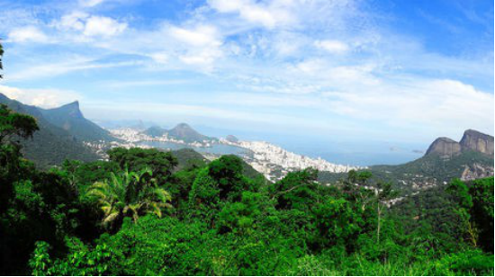 奇久卡山的雨林，几乎可以俯瞰里约热内卢