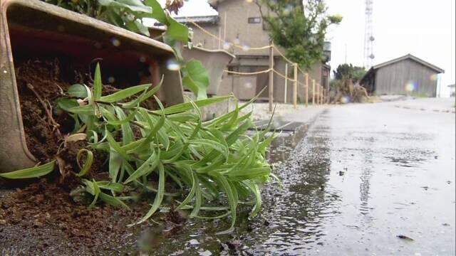 日本新潟县6.7级地震震中地区