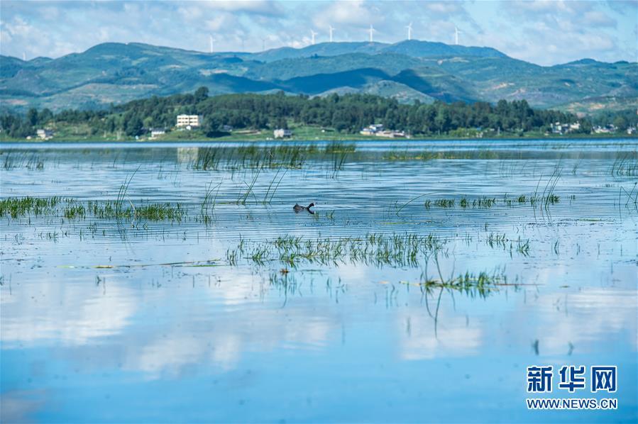 贵州威宁草海退地还湖记