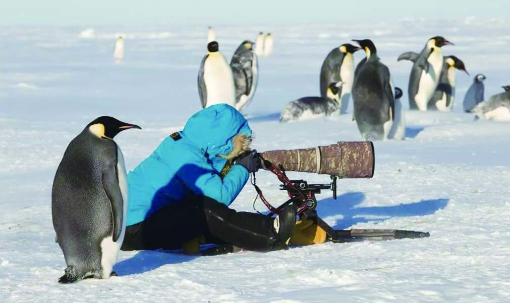 野生动物摄影师顾莹: "不惊扰是最好的保护"