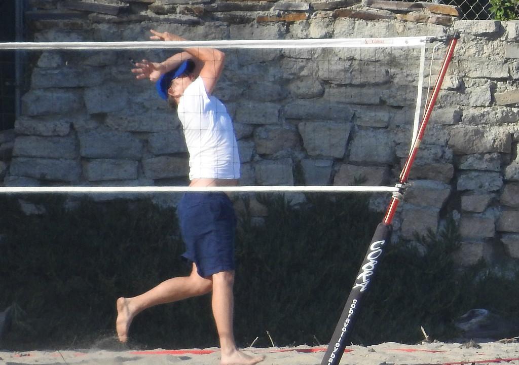 莱昂纳多。 来源：网络综合