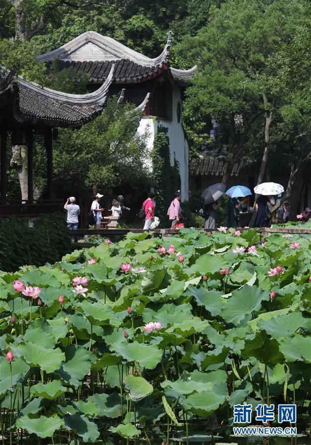 苏州拙政园荷花节开幕