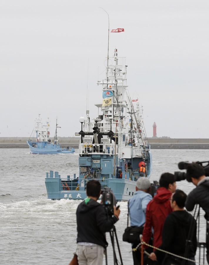 钏路港准备出海的捕鲸船(日本共同社)