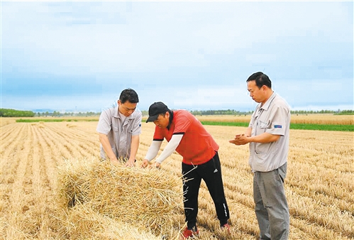 青岛莱西：秸秆回收变草为宝