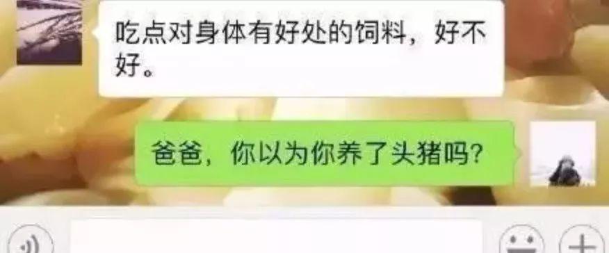 亲爸让我去吃饲料的背后