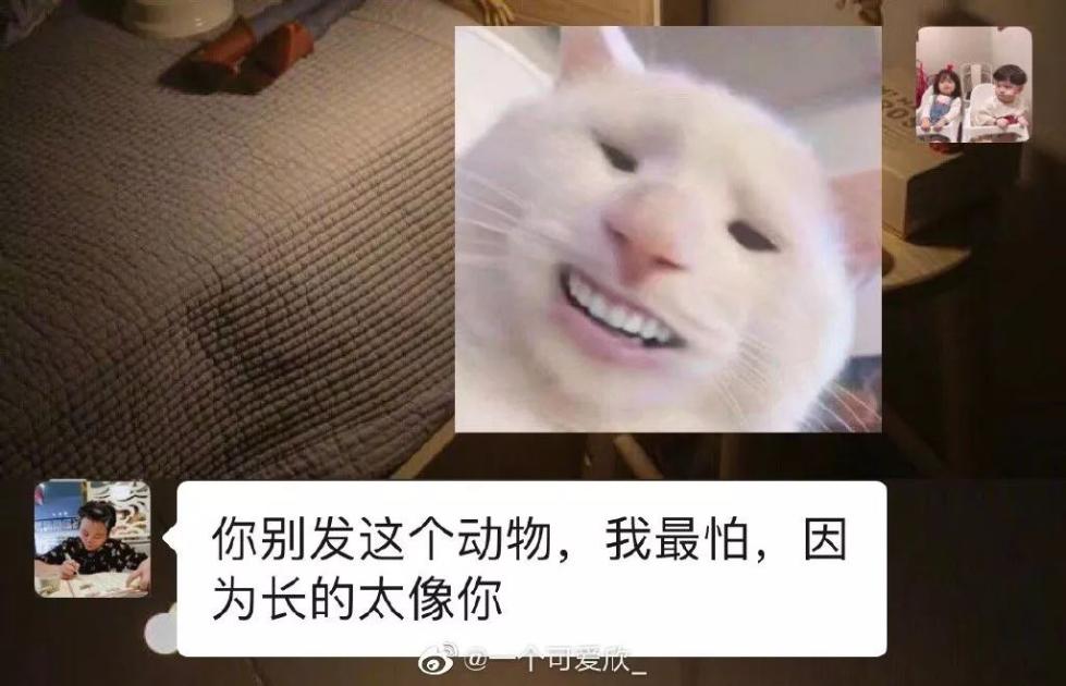 @一个可爱欣_