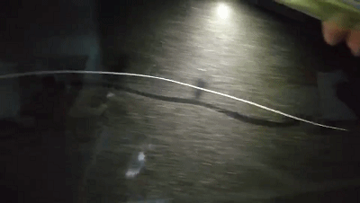 正当这些车主们又惊又怒