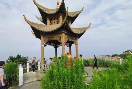章子欣的最后现身地观日亭。澎湃新闻记者 杨亚东 摄