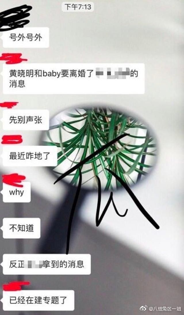 网上疯传二人已经离婚的消息。（微博：@八组兔区一姐）