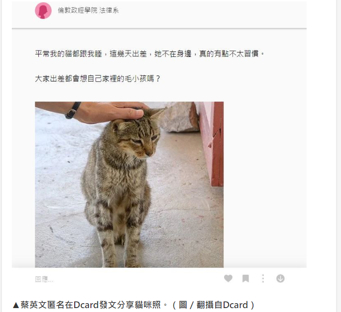 台媒爆料蔡英文发文分享摸猫照片（图源：东森新闻云）