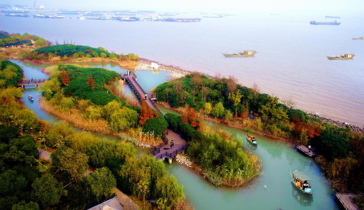 看长江之变上海生态发展图鉴之上海宝山区四老转型创新路