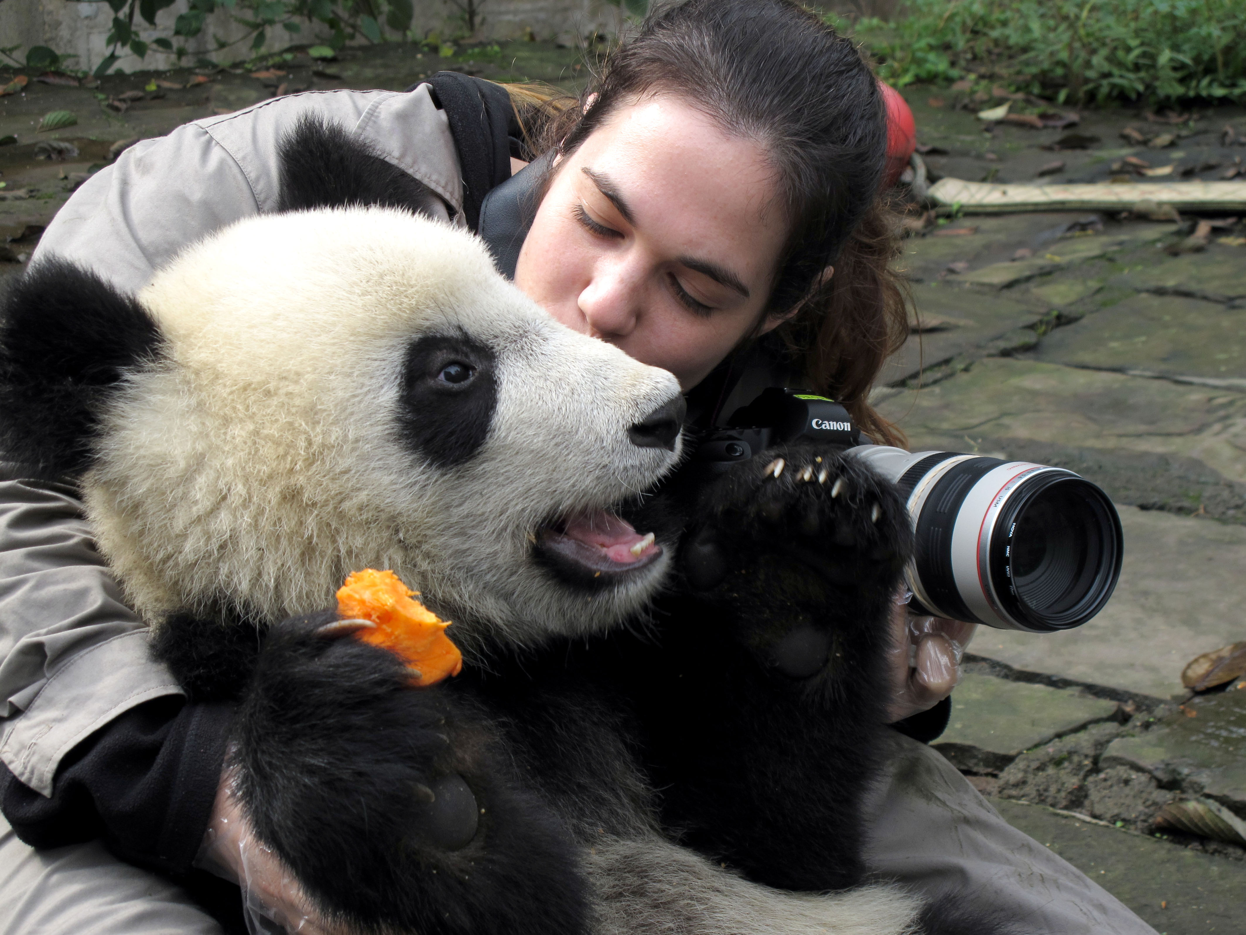 跨物种友谊和谐共处!摄影师晒出与动物亲吻照太有爱