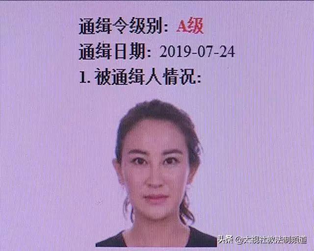 公安部a通逃犯寇静瑶在山西落网涉参加黑社会性质组织等罪