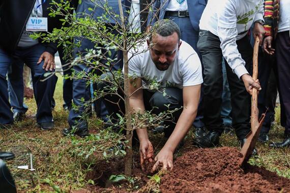 埃塞俄比亚总理阿比•艾哈迈德•阿里正在植树 图源：推特