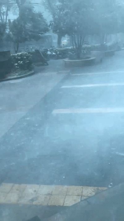 400_712竖版 竖屏gif 动态图 动图