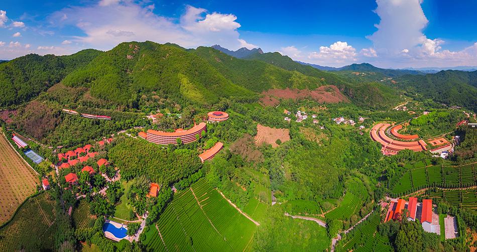 梅州雁南飞茶田景区 视觉中国 资料图