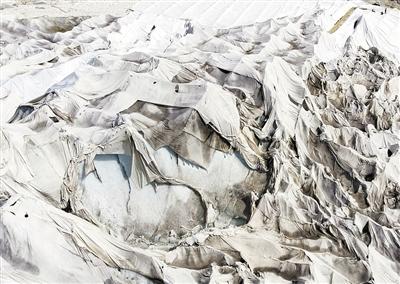 害怕“热化” 给阿尔卑斯最古老冰川盖毛毯