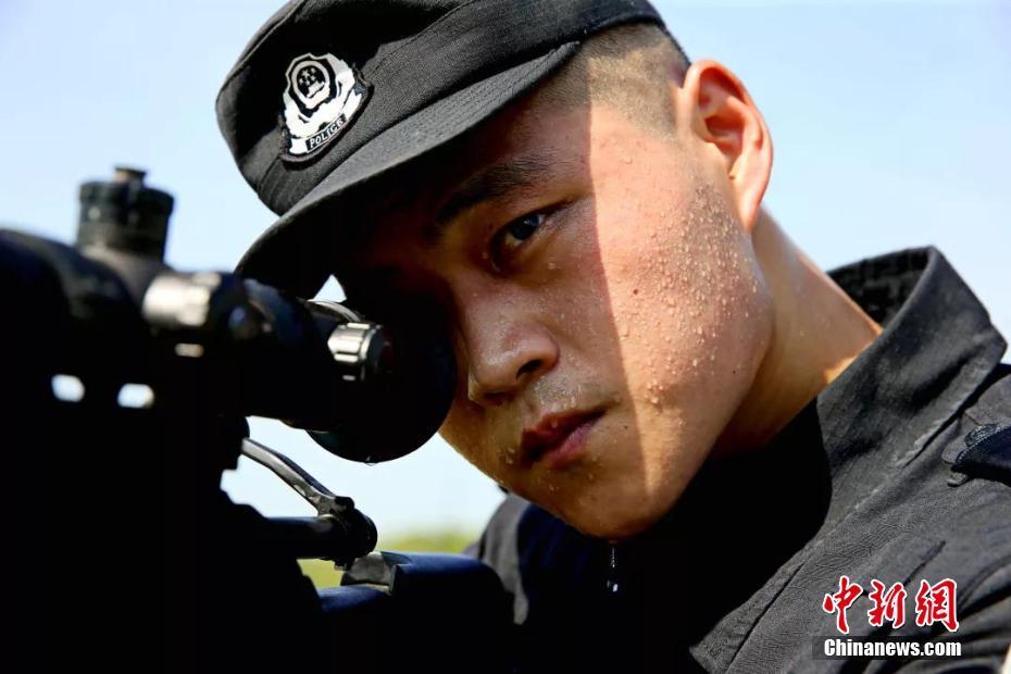 夏练三伏湖北特警烈日中苦训体能