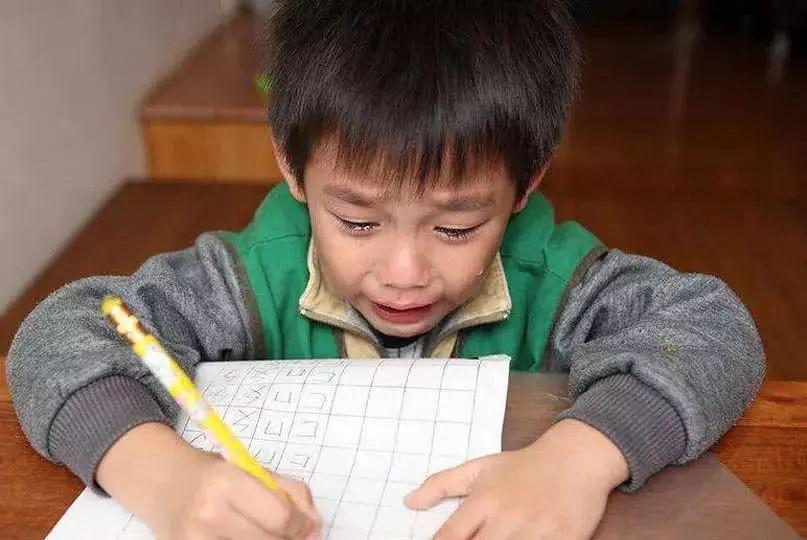 图片来自网络