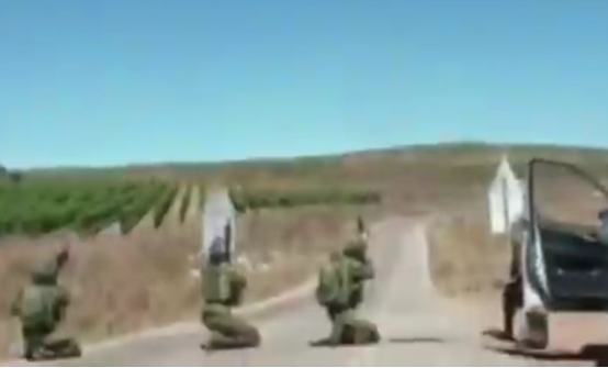 疑似“敌机”出现，以色列士兵准备开火 图源：RT