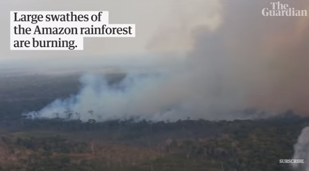 (大面积热带雨林正在燃烧。图源：《卫报》视频截图)