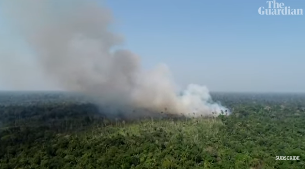 (大面积热带雨林正在燃烧。图源：《卫报》视频截图)