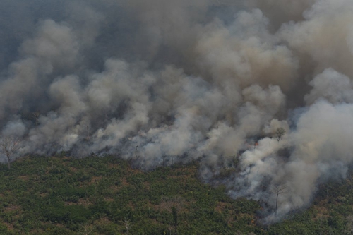 亚马孙森林大火。图源：美联社