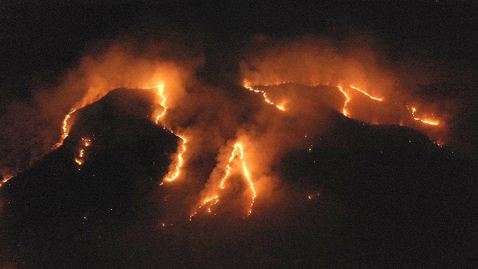 8月17日在巴西托坎廷斯州拍摄的亚马孙雨林中一处燃烧的林区。新华社 图
