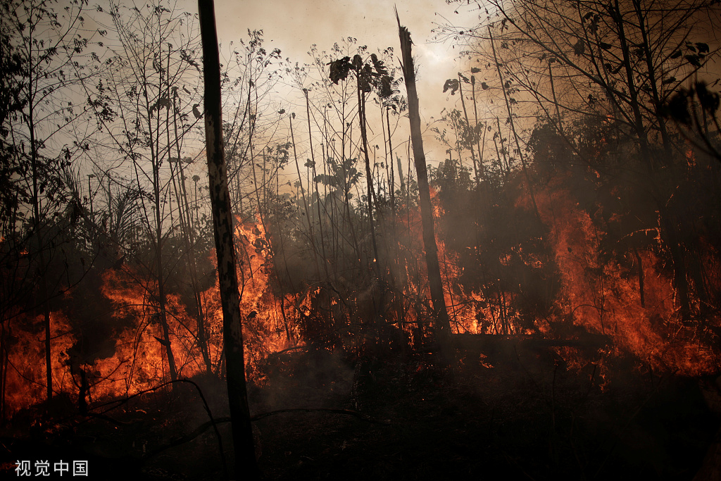 当地时间2019年8月23日，巴西亚马孙雨林大火现场。 图源：视觉中国