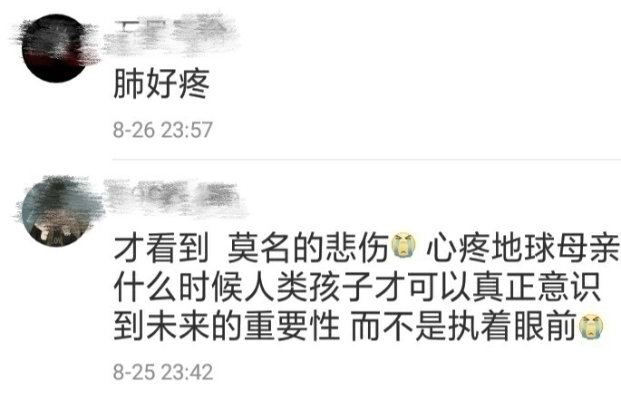 亚马孙雨林之殇痛惜之外更需要反思