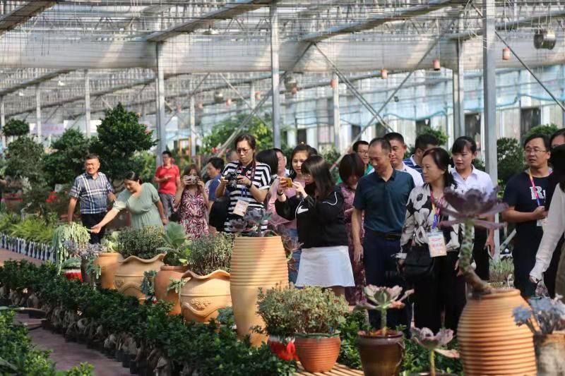 图为媒体正在参观鑫诚现代农业科技示范园园区