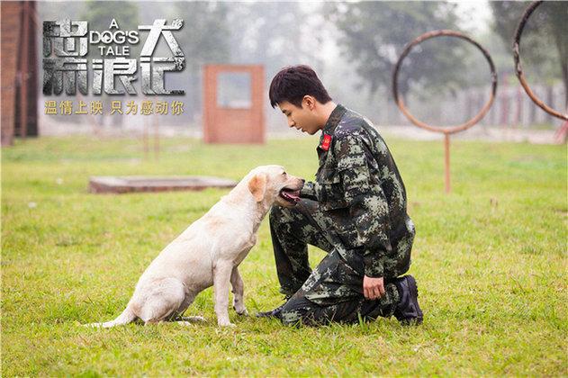 它用尽一生 只为寻找最初主人