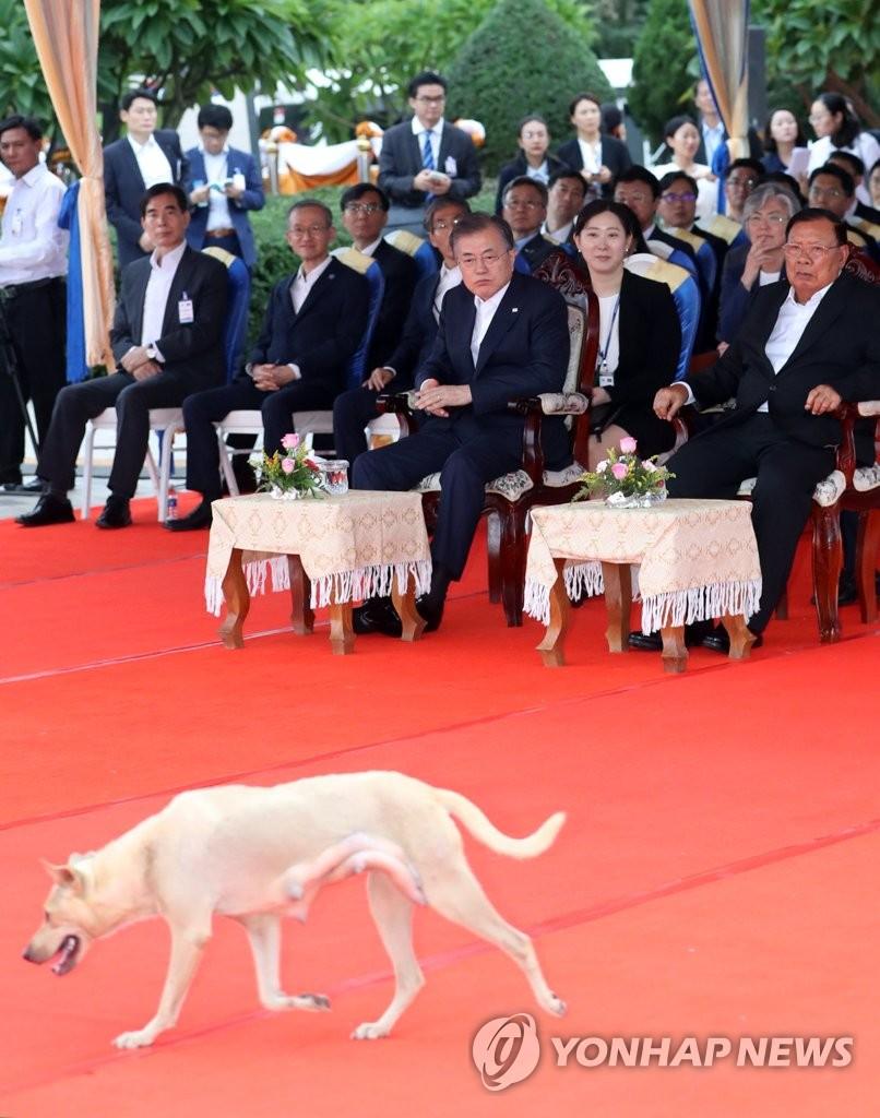 5日，神秘白狗闯入韩国与老挝领导人会场（韩联社）