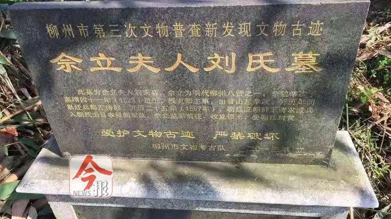 ▲2013年，由柳州文物考古队（文物局前身）设立的佘立夫人刘氏墓保护碑守候古墓6年。