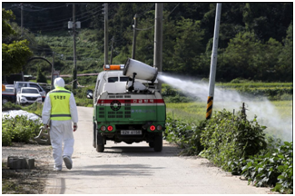 17日，在韩国坡州的一个养猪场，工作人员正喷洒消毒剂预防猪瘟
