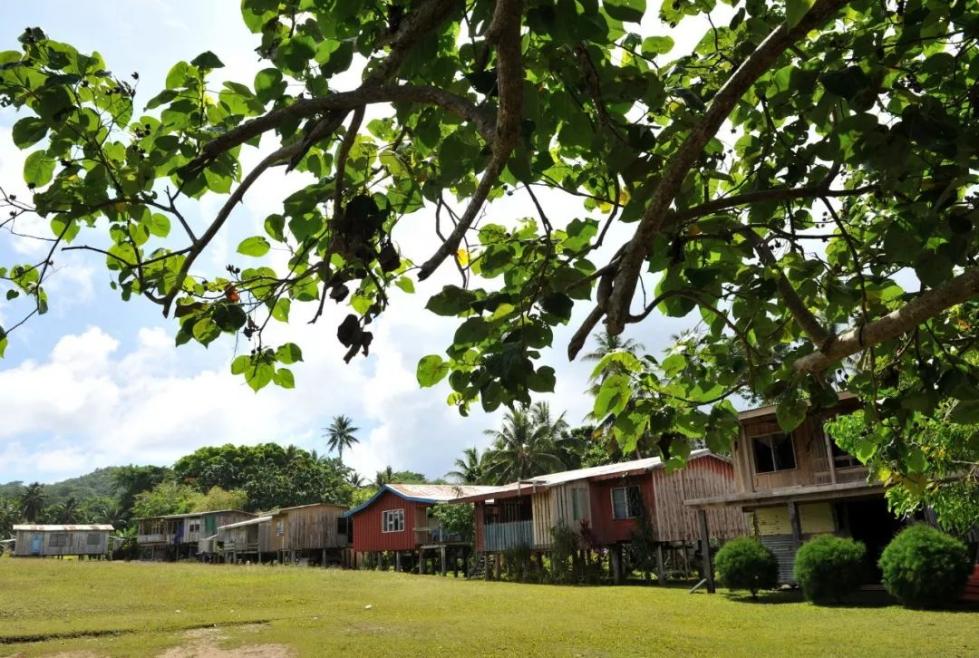 这是2013年10月30日拍摄的所罗门群岛东伦内尔岛上的木屋。新华社记者高健钧摄