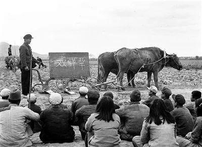 1955年，辽宁省复县沙坨村的扫盲班在地里通过实物进行扫盲教学。新华社发(资料照片)