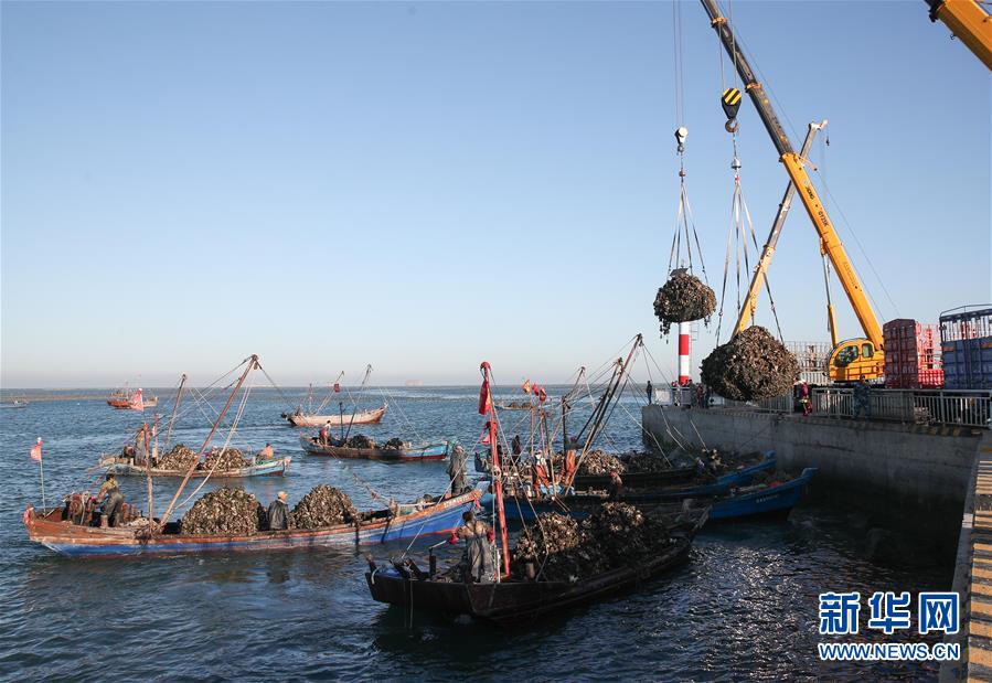 辽宁省长海县广鹿岛 20190924084624227.jpg