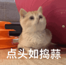 图片来源网络