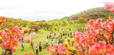 我国近200个植物园保存了2万个物种